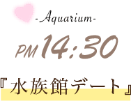 -Aquarium- PM 14:30 『水族館デート』