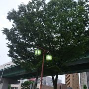 ６時間