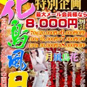 ☆本日最終日☆時間が長いほどお得！【花鳥風月】開催中！