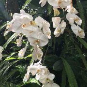 おはよ‪⸜(*ˊᵕˋ*)⸝‬