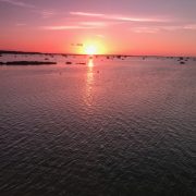 こんばんわ(๑> ᴗ <๑)