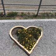 おはようございます(^-^)