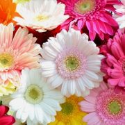 出勤のお知らせ☆