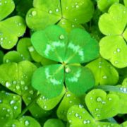 色々とありがとう…