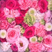 人気の新人セレブもまだまだご案内可能！！