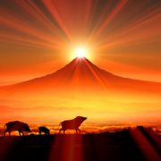 【謹賀新年】明けましておめでとうございます。