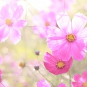 出勤しました