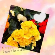 おはようございます