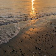 Ｔさま   ありがとう