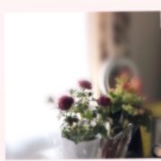 おはようございます