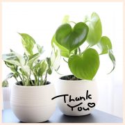 お気に入り&みたよ