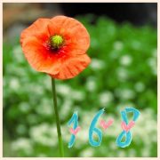 10月17日お礼♡ I田様