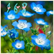 10月17日お礼♡M田様