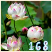 10月17日のお礼♡H田様