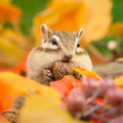 ☆よぎる毎日☆