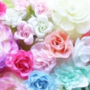 11月27日(水)有難うございました