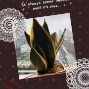 Ｇさま   ありがとう