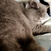 本日出勤します。