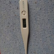 こんにちは(●´ω｀●)