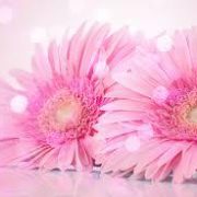 ☆お忘れなく☆