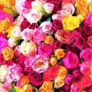 ありがとうございました❤️