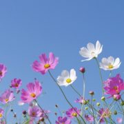 ☆元気に🎵☆