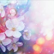 ☆待ち遠しく☆
