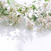 ☆検温☆