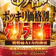 「ポッキリ価格割り」☆割引+ポイント付与のダブルでお得!