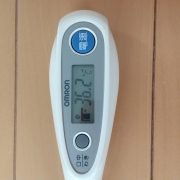 今日の私の体温です