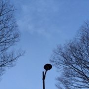 🍀おはようございます🍀(^-^)