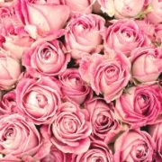 2月16日(火)有難うございました