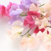 ありがとうございました❤️(火)