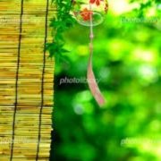 🍀おはようございます🍀(*^^*)