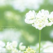 お疲れ様🍀