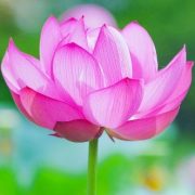 ありがとうございました💖22日(土)(*^^*)