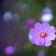ありがとうございました💖10日(金)(*^-^*)✨