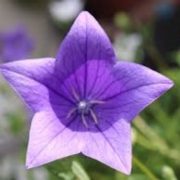 11日(土)ありがとうございました💖(*^-^*)✨