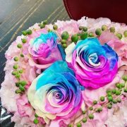 11日(土)ありがとうございました❤️(*^-^*)✨
