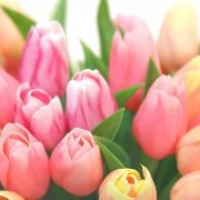7日(月)ありがとうございました💖(*^-^*)🍀