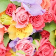 5月7日(土)有難うございました