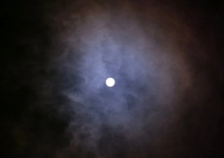 16451000050371.jpg